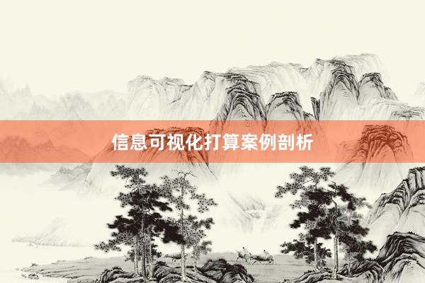 信息可视化打算案例剖析